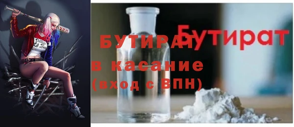 индика Алексин