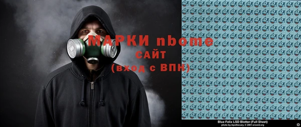 индика Алексин