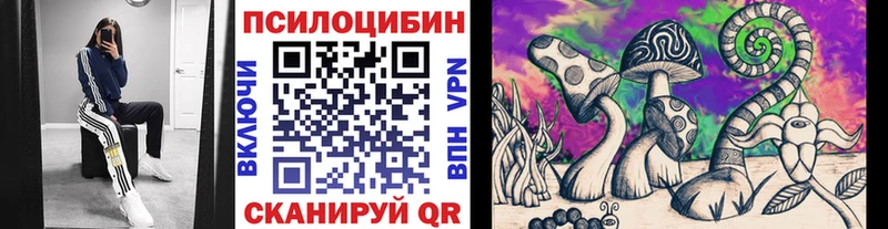 Галлюциногенные грибы MAGIC MUSHROOMS  купить закладку  Серпухов 
